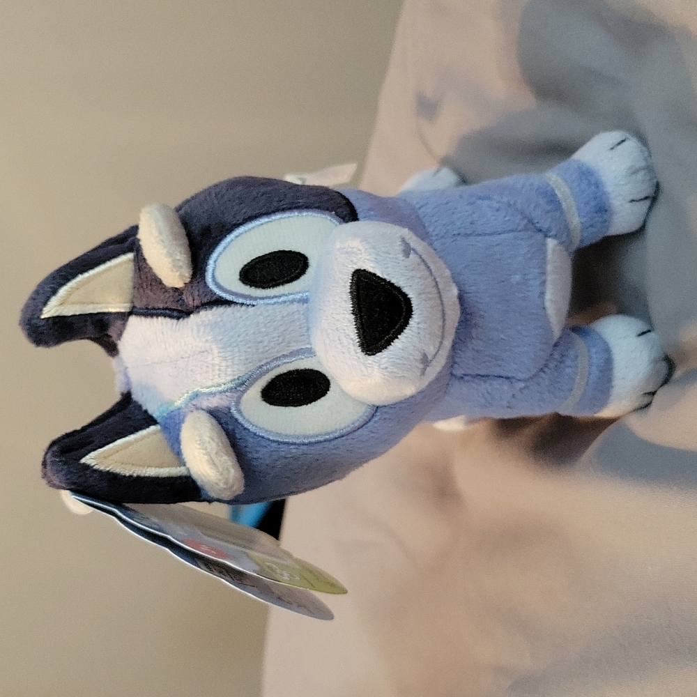 Bluey Friends Socks